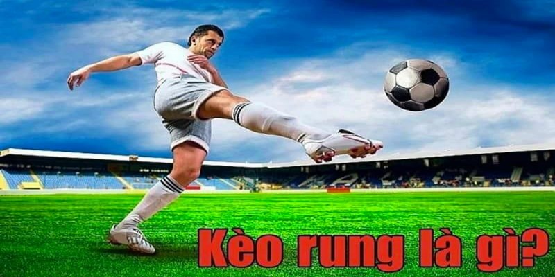 Tìm hiểu về kèo rung